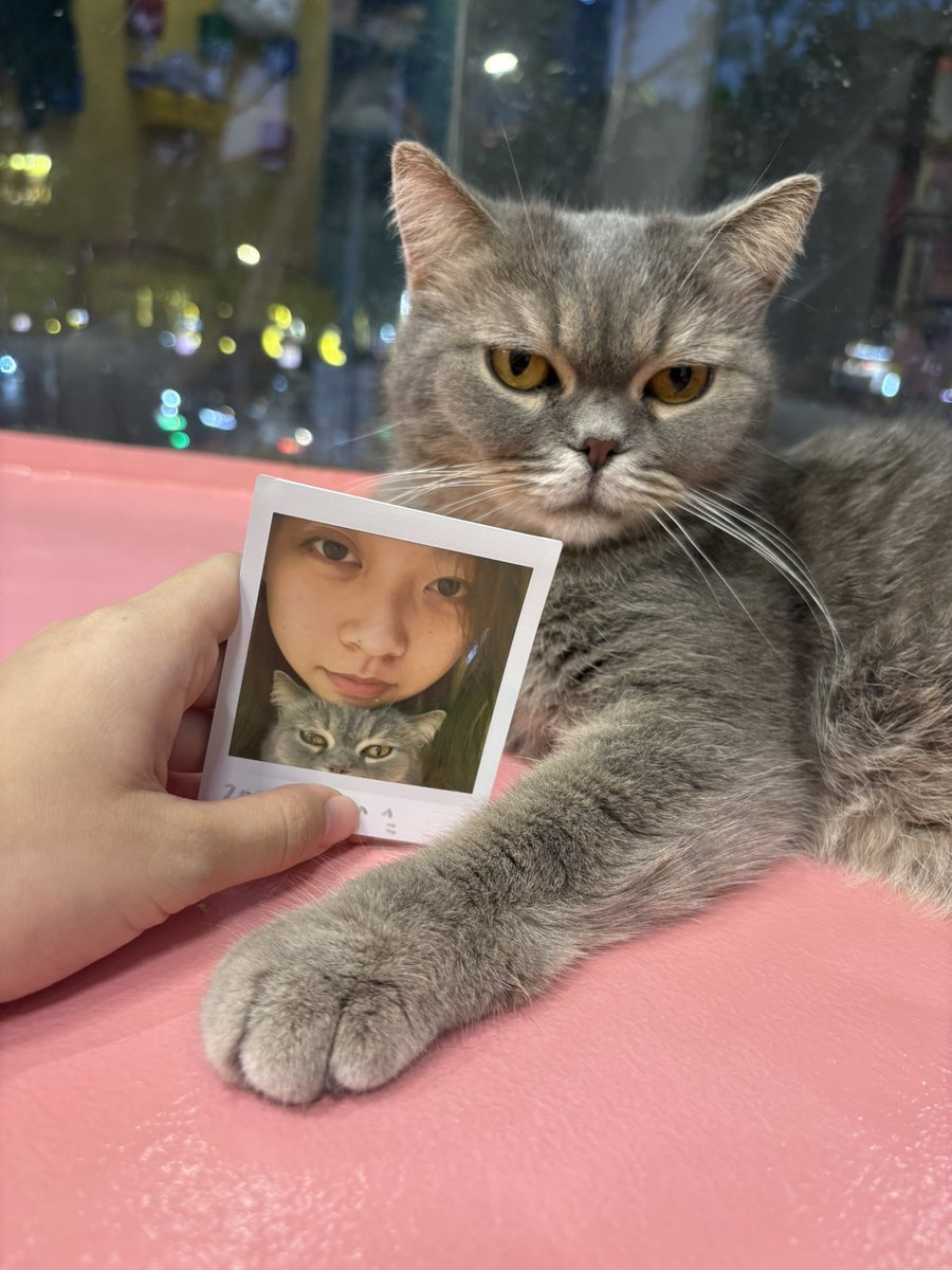 缺氧的鱼仔 tweet media