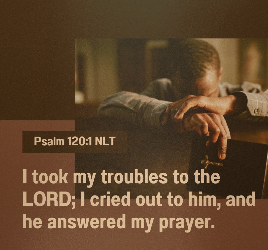 Susan Borg tweet media