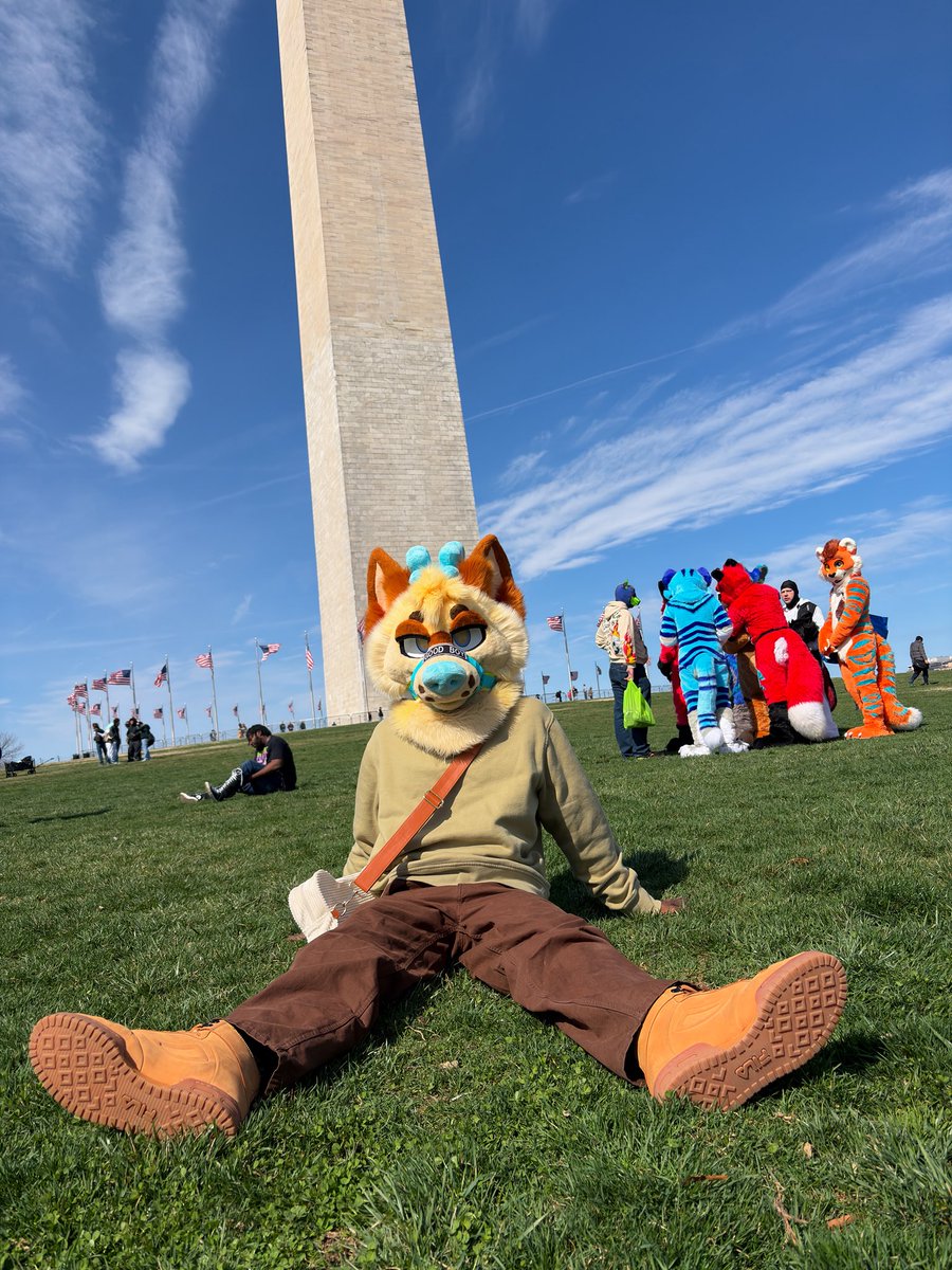 🪴𝙆𝙊𝙁𝙀𝙀🪴 tweet media