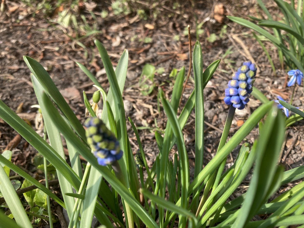 ks. Marek Lis ن tweet media