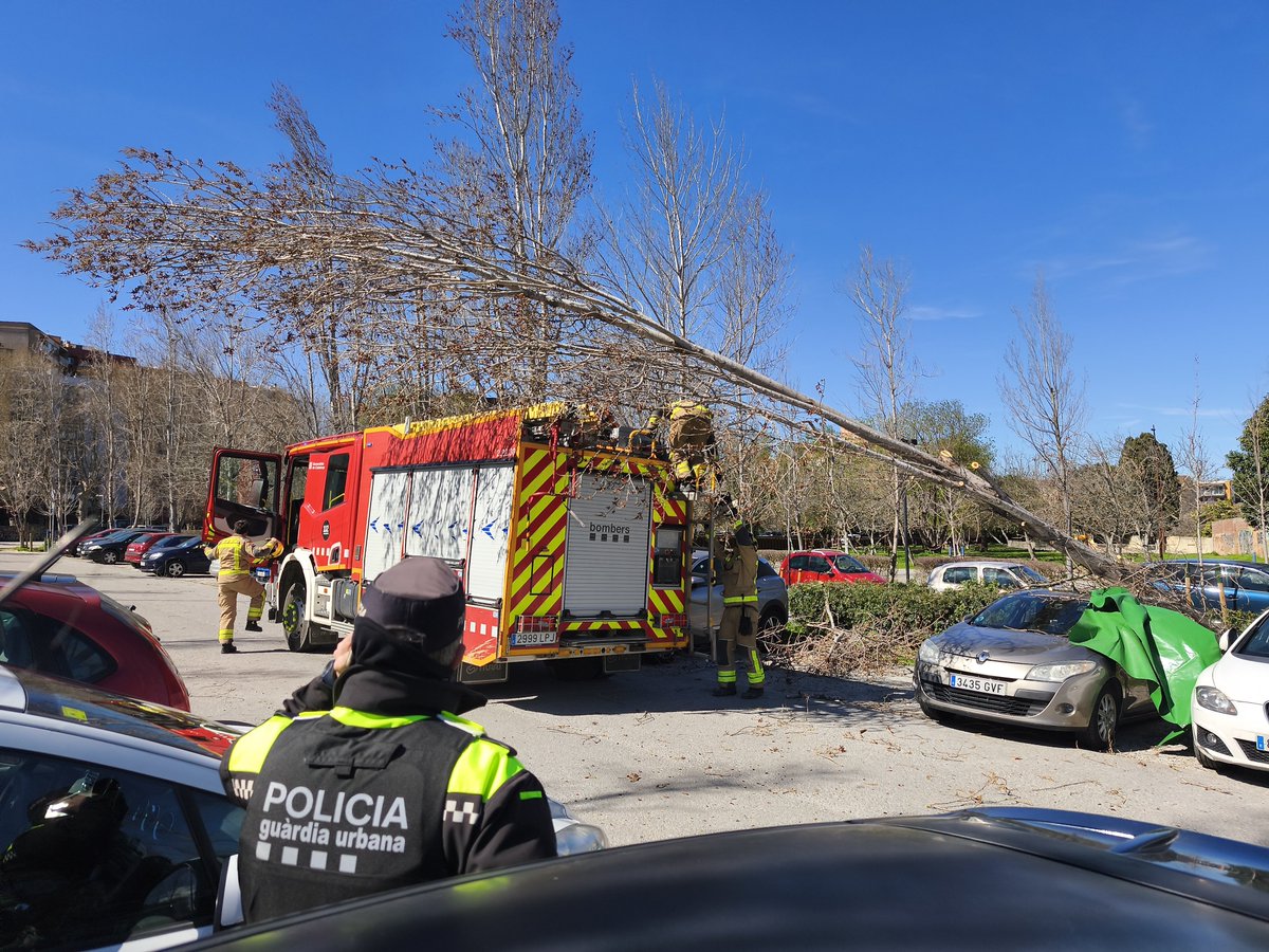 Josep Anton Massagué tweet media