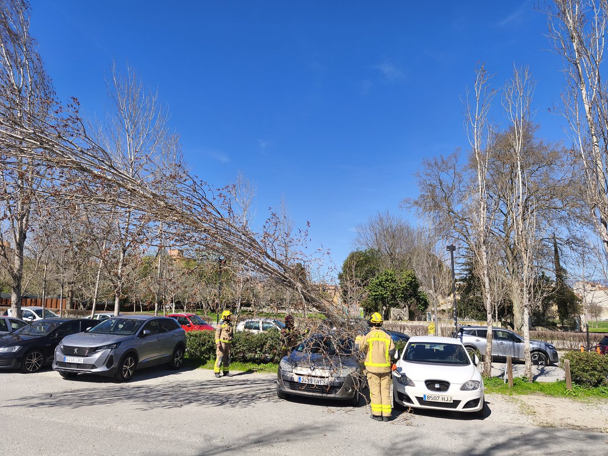 Josep Anton Massagué tweet media