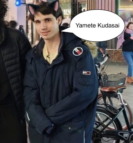 Spooky ElmilloR 🎃 tweet media