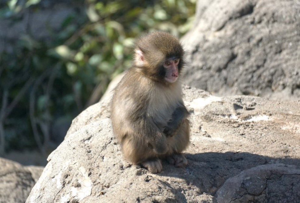 haru (punch/acc) tweet media