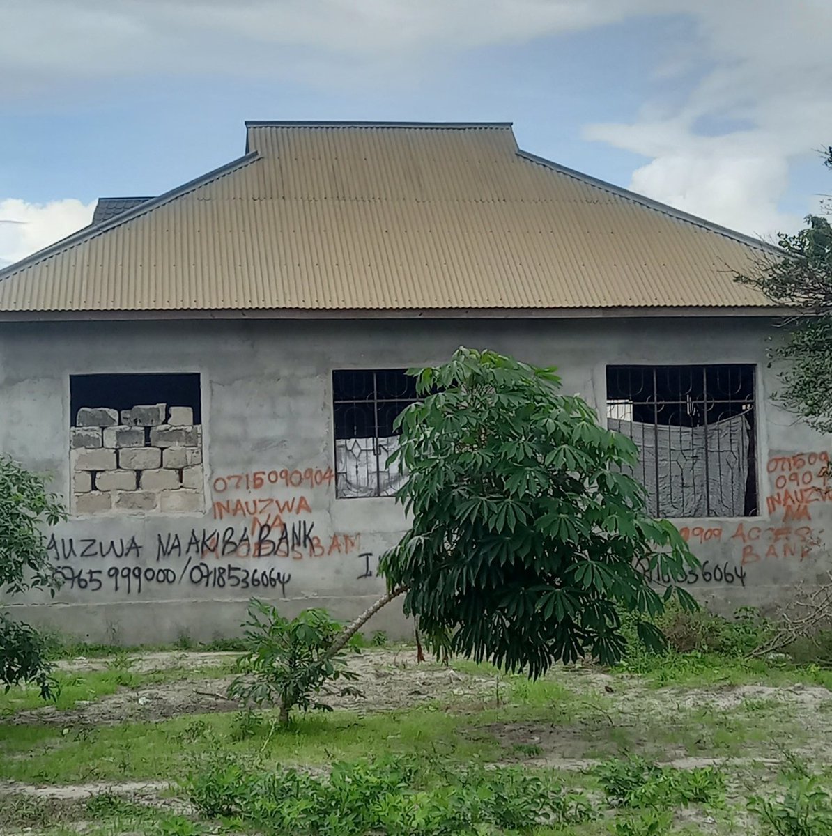 kasesco☆ tweet media