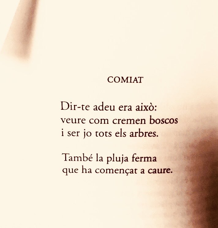 Vicent Almela Artíguez tweet media