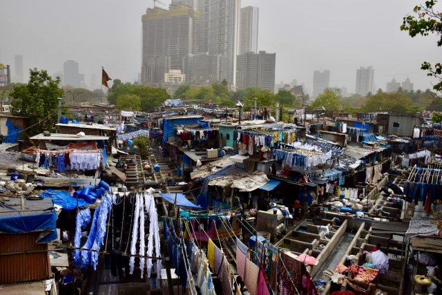 とっち庵 tweet media