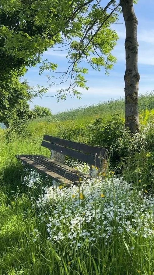 lady_valor_07's tweet photo. You have one hour to sit on this bench with anyone, from any time, who would it be? https://t.co/hIotAjja6X
