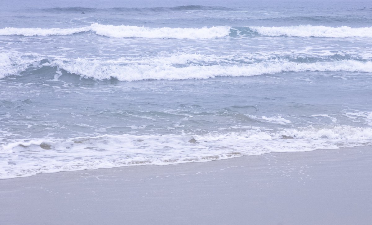 흐린 날 바다 사진은 꼭 얼음 같이 찍힌단 말이야