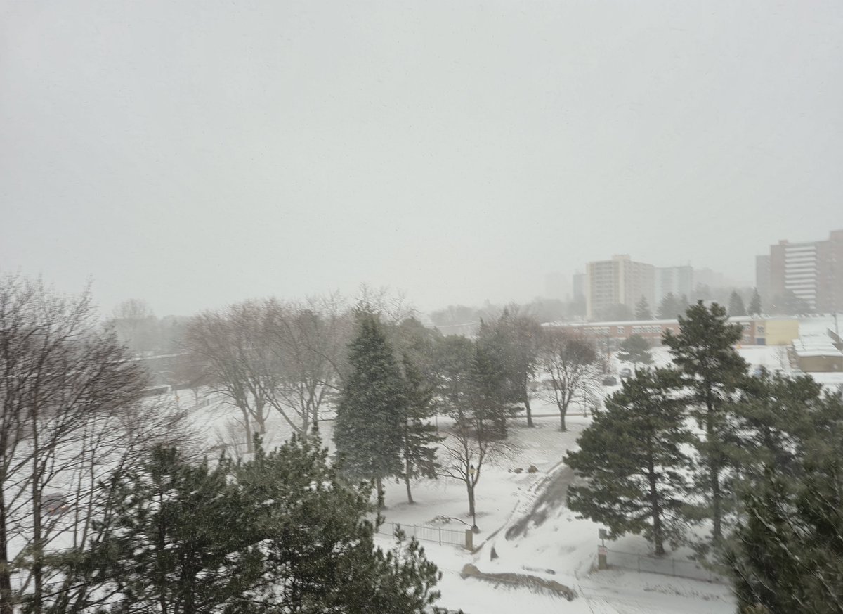 Eero ☃️🌤️🌩️❄️☀️📷 tweet media