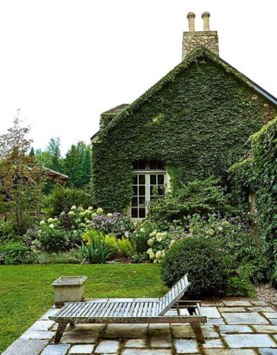 Hamilton 🇺🇸 tweet media