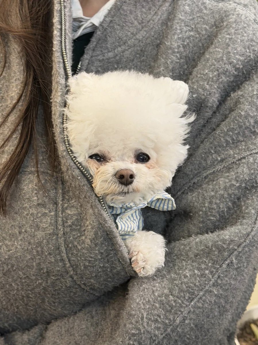 Dacolalalala's tweet photo. 헐 어쭈케ㅋㅋㅋ 해리언니랑 휴찌랑 옷이 몬가 비슷해 아 마음조아🫳🫳 https://t.co/vvZ5R6rLnb