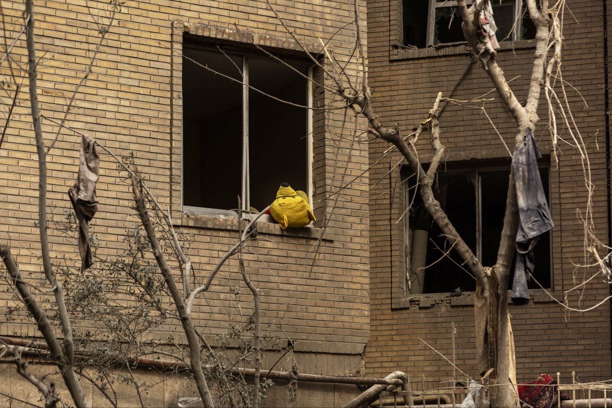 بُشری tweet media