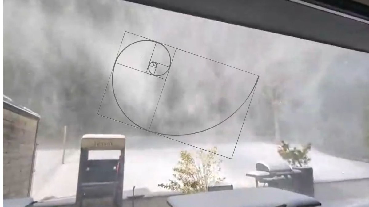 Miquel Serrano tweet media