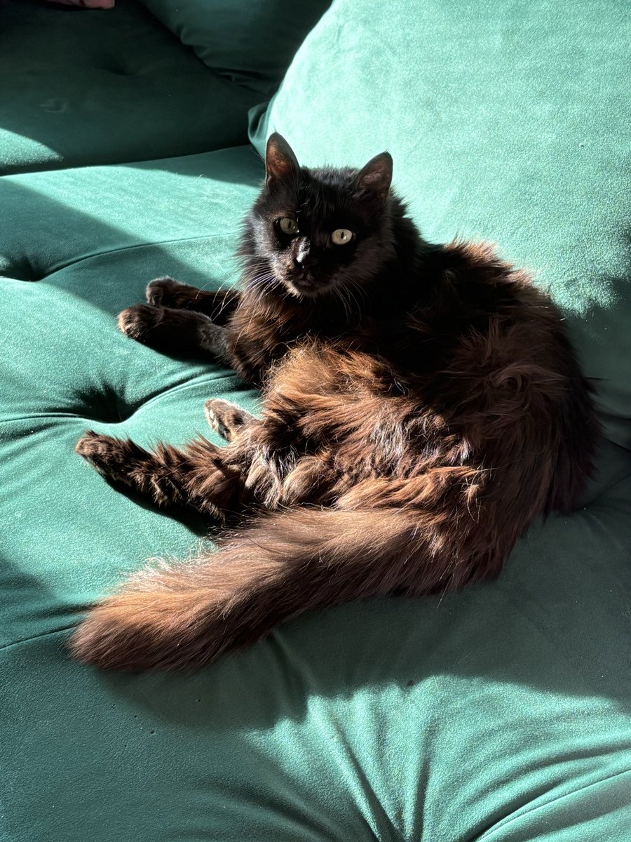 happycabbage🥬 tweet media