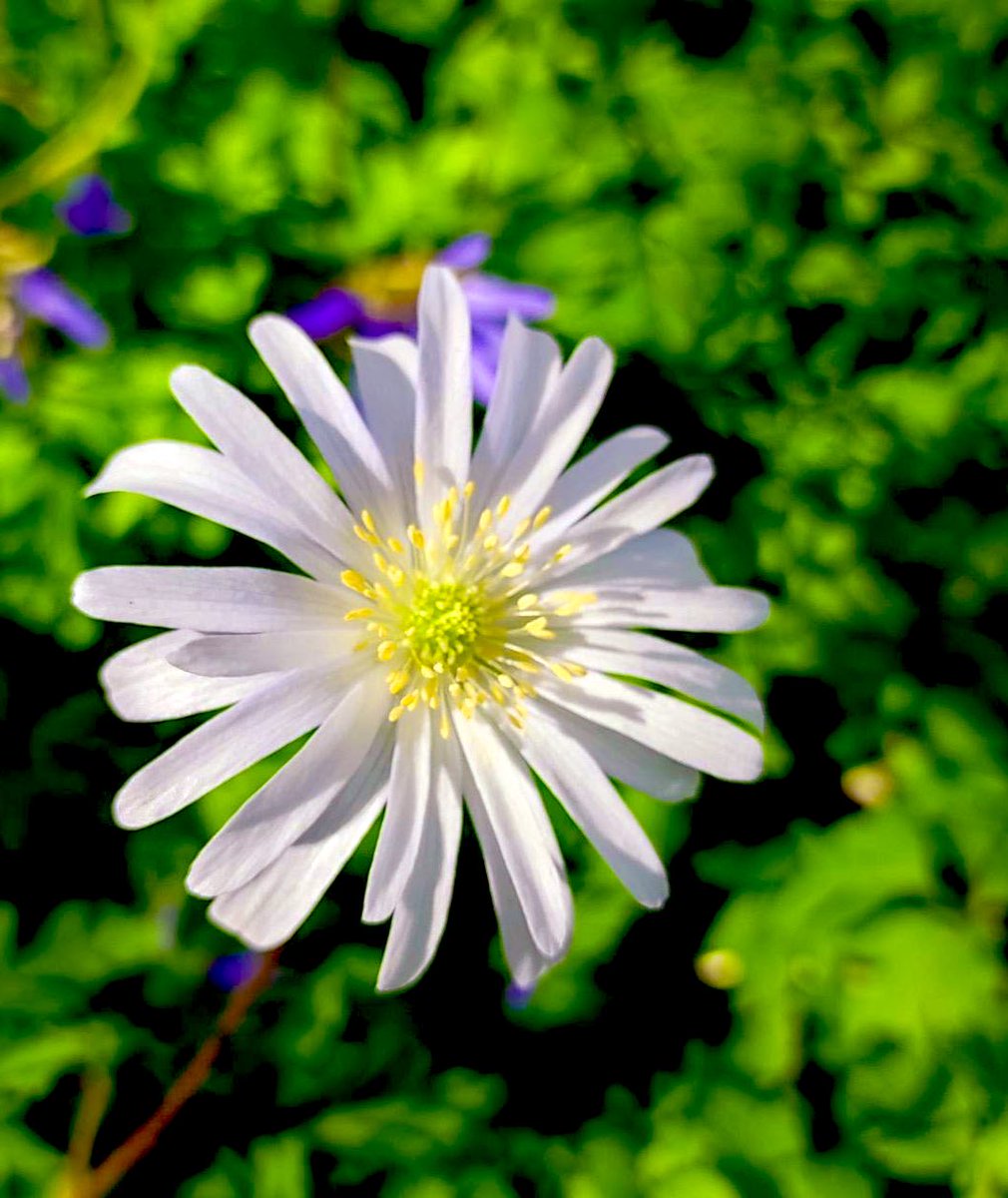 Sandra Macken tweet media