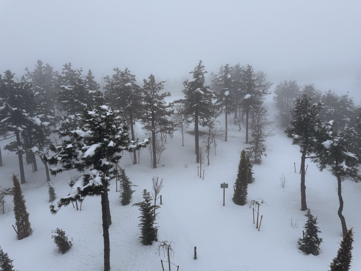 CamilleStClair 🇬🇧 tweet media