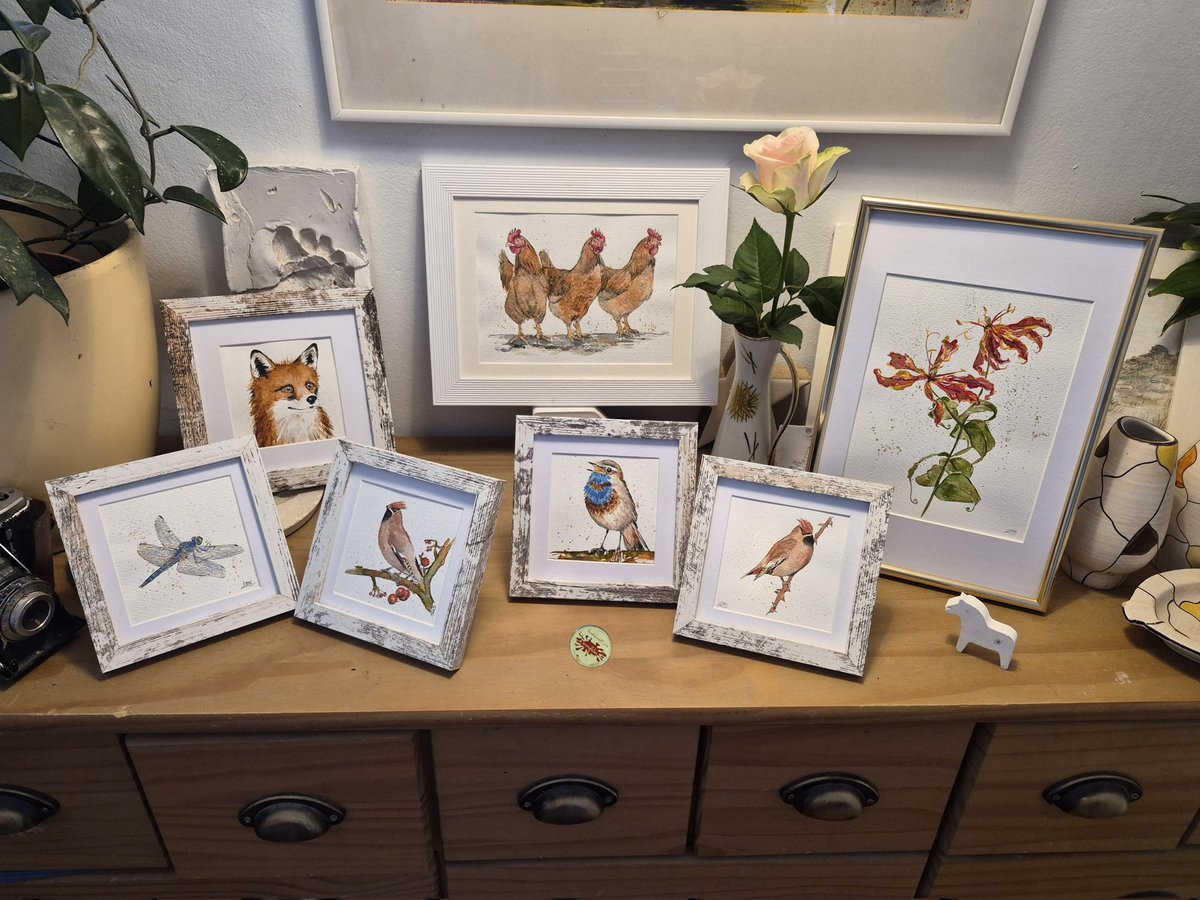 wandklex Ingrid tweet media