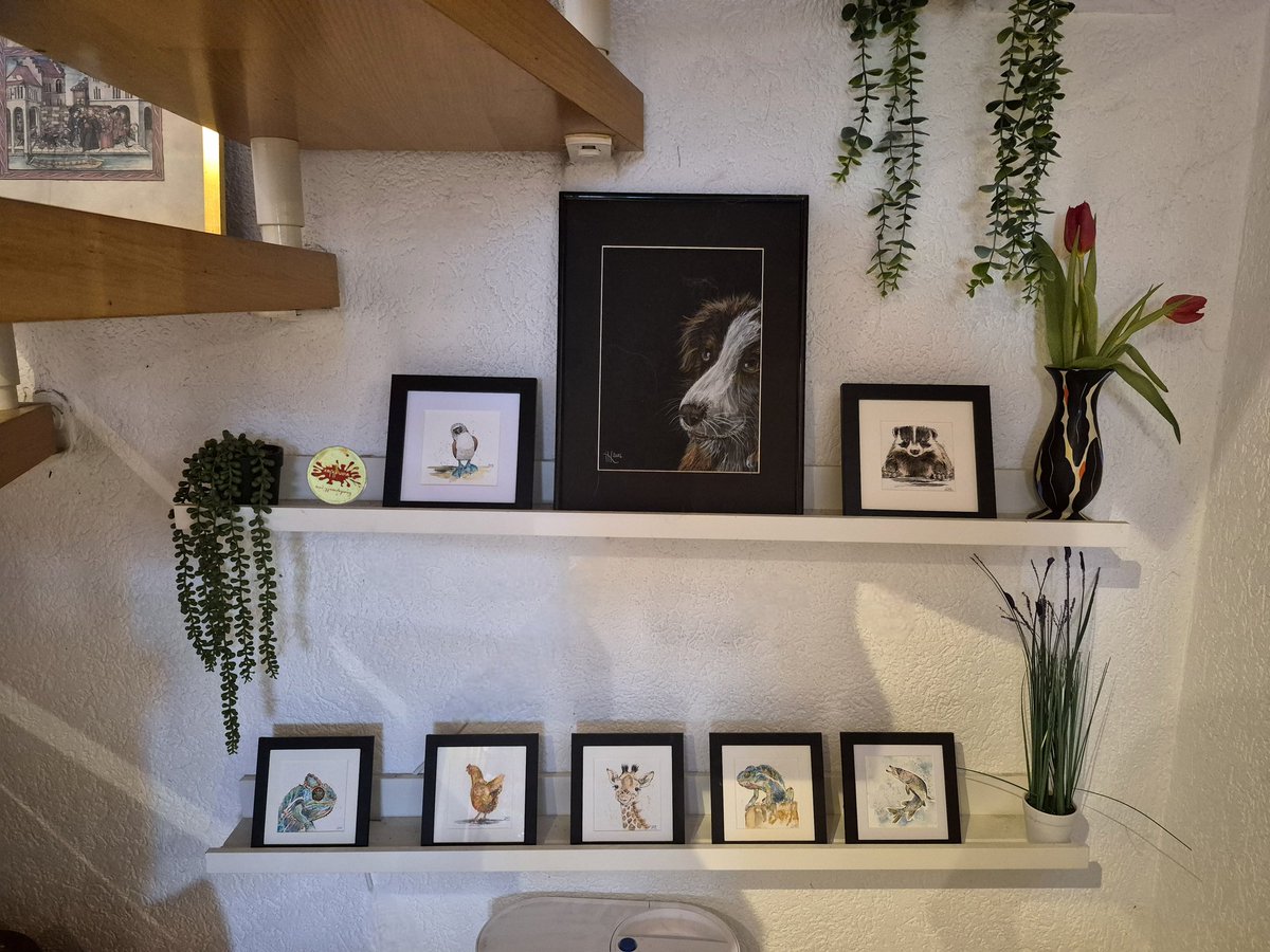 wandklex Ingrid tweet media