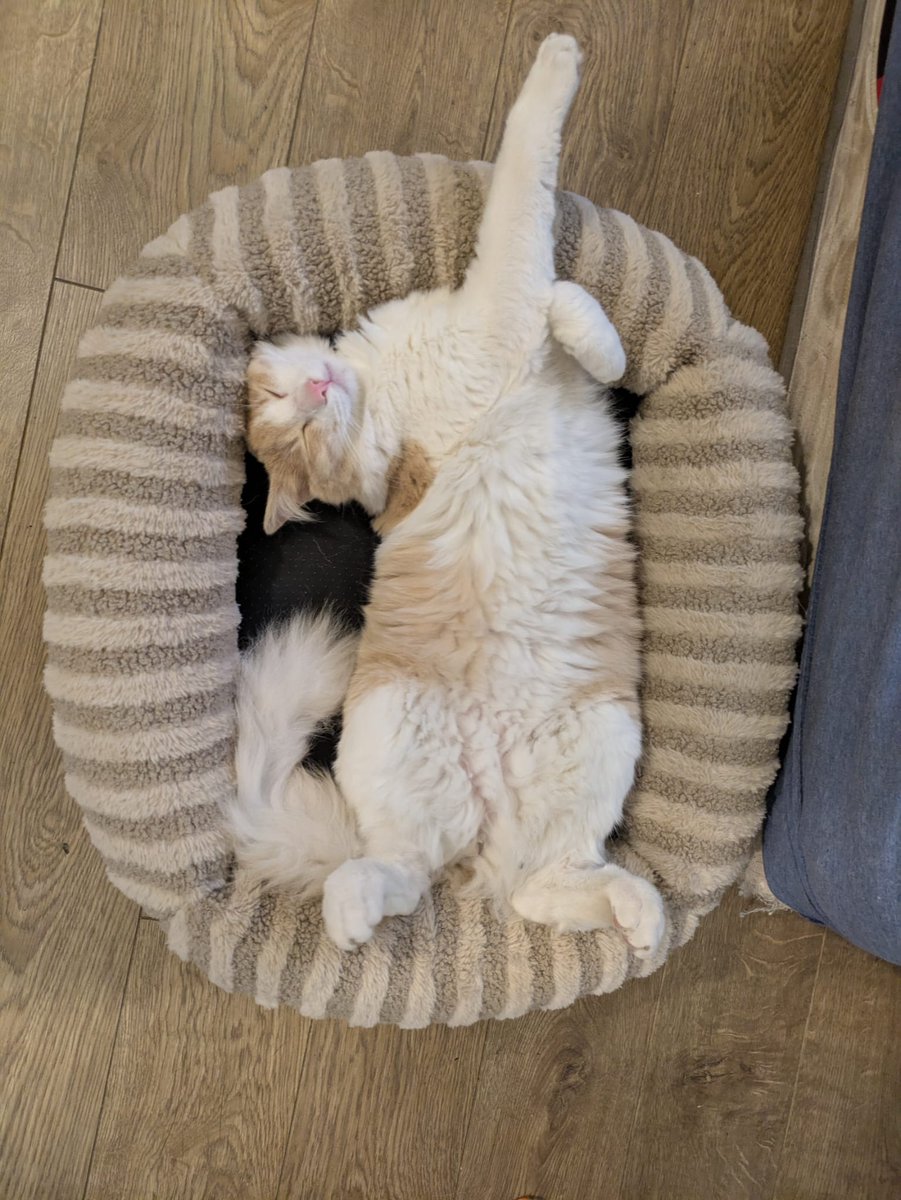 Sharon Besser tweet media