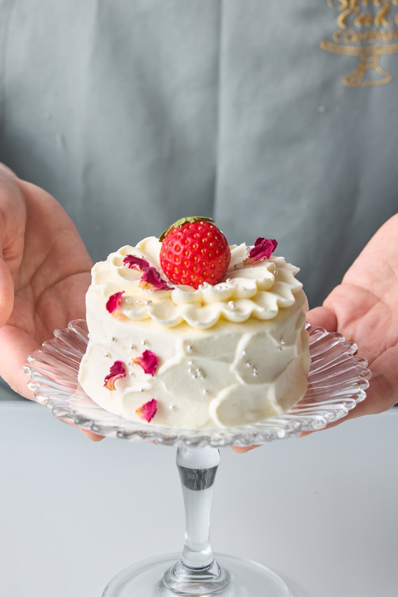 ShortCakeCo_'s tweet photo. 春の苺ショート🍓
ショートケーキを食べなくちゃ❣️ https://t.co/7sYRLxnNEZ