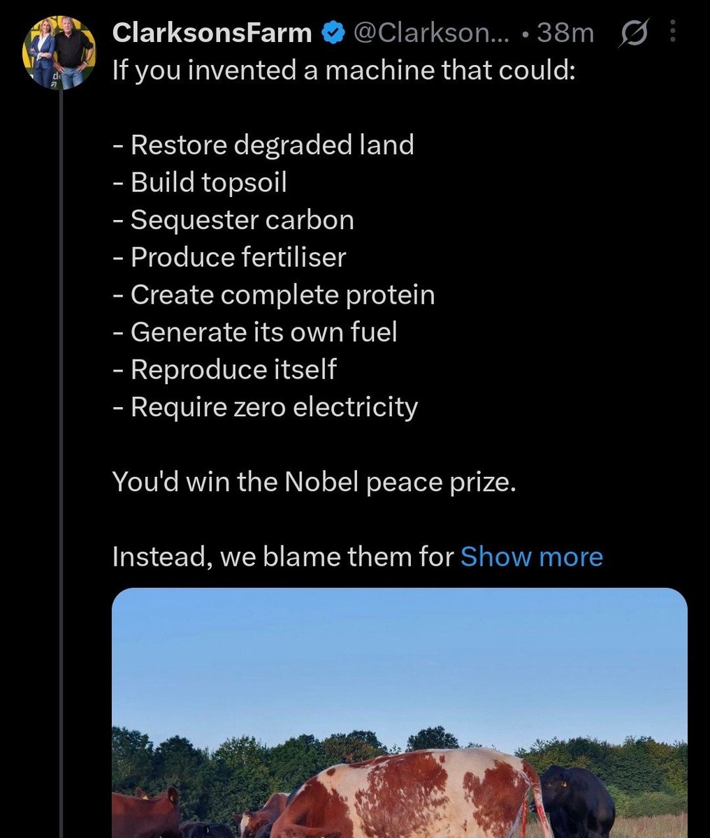 Sama Hoole tweet media