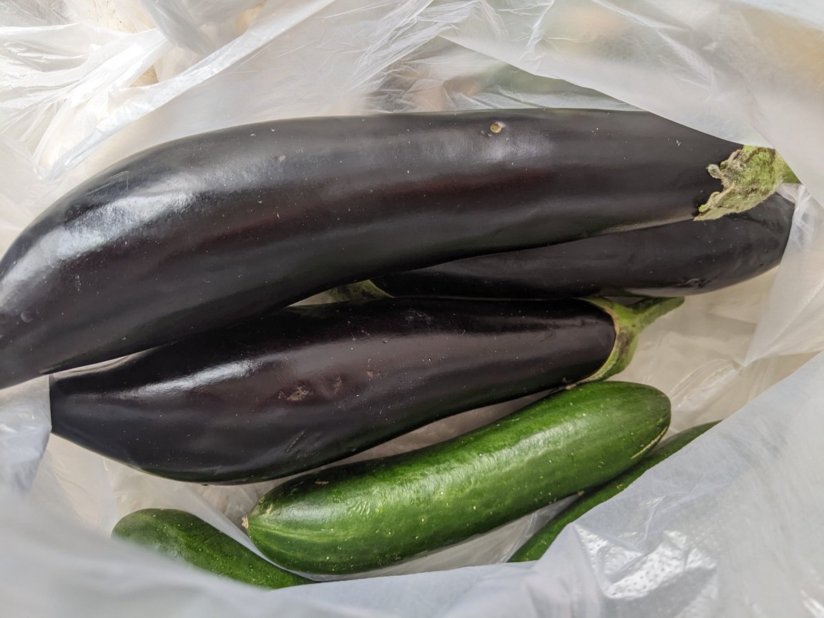 Georgia Pictures 🇺🇦 tweet media