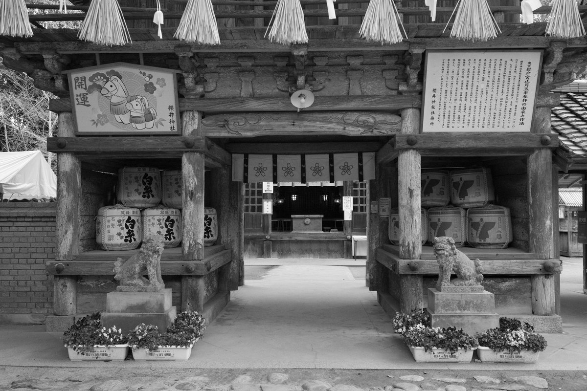 logmaid's tweet photo. 近くの櫻井神社にも寄りました https://t.co/miVLfIG3vw