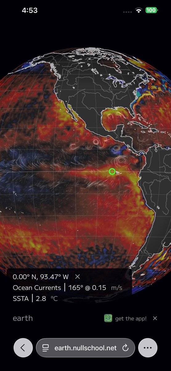 Thomas Reis tweet media