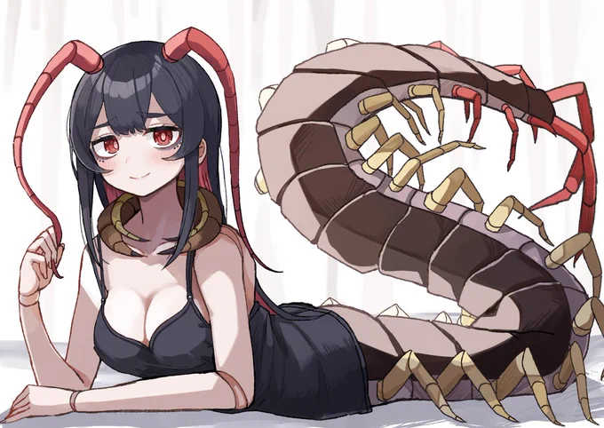 朝のムカデちゃん