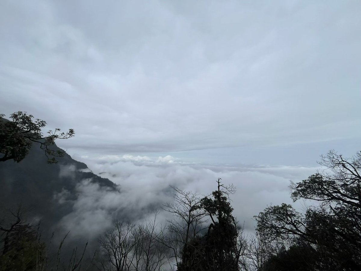 KryanXu's tweet photo. 三月峨眉山 https://t.co/Jz2Vr9ULgp
