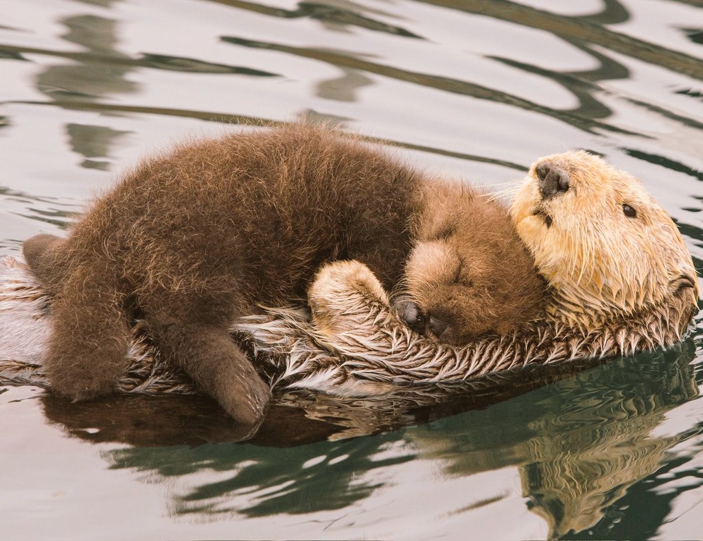 #WOMENSART tweet media