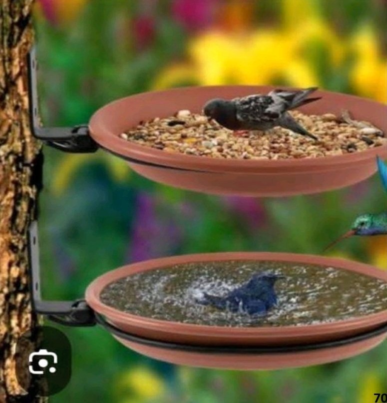 fahad_areeb's tweet photo. As temperatures rise in Multan, small steps can save lives. On the initiative of the Commissioner Multan, 800 colorful trays have been installed on trees across parks&amp; selected roads to provide food&amp; water for birds —a small yet meaningful step to protect urban wildlife.
#Multan https://t.co/UzCkkCroEN
