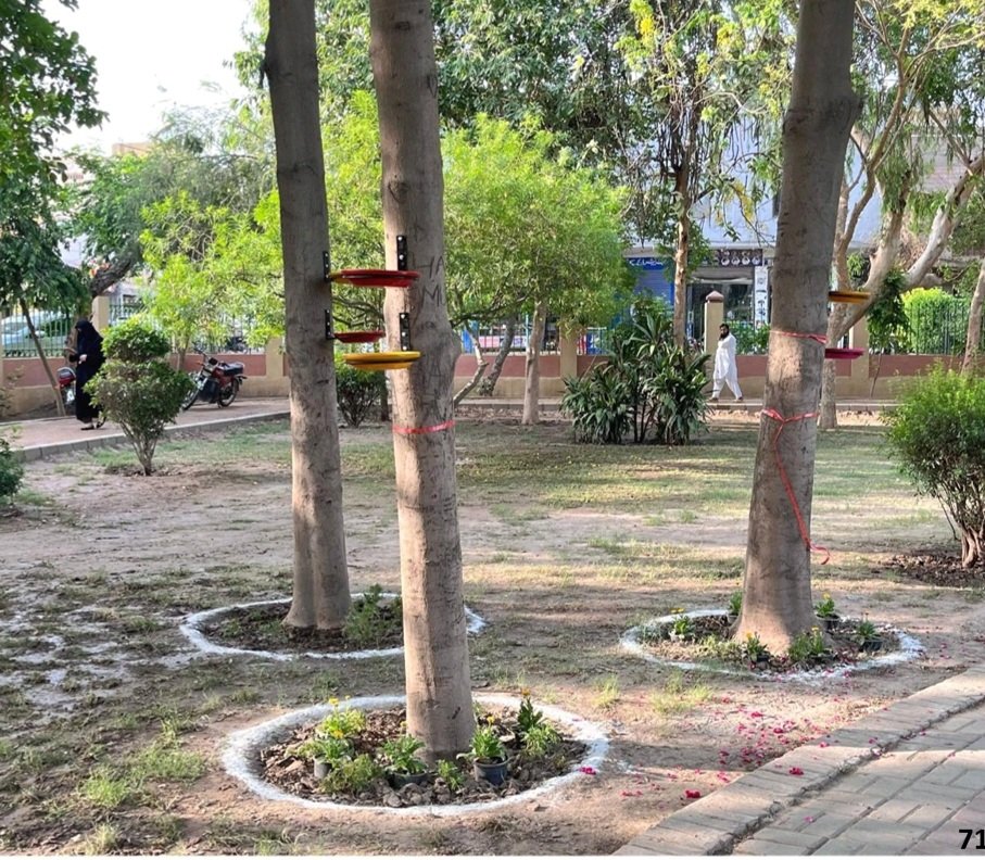 fahad_areeb's tweet photo. As temperatures rise in Multan, small steps can save lives. On the initiative of the Commissioner Multan, 800 colorful trays have been installed on trees across parks&amp; selected roads to provide food&amp; water for birds —a small yet meaningful step to protect urban wildlife.
#Multan https://t.co/UzCkkCroEN