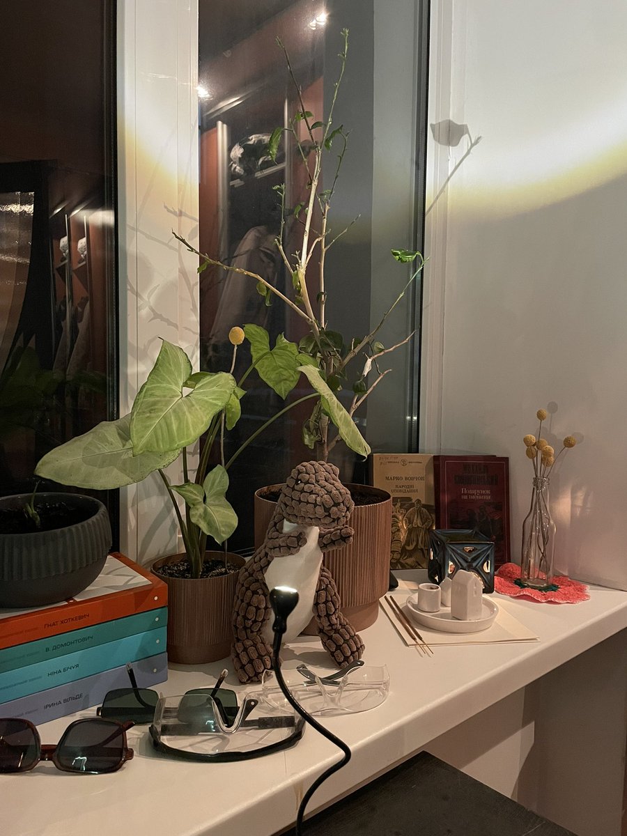 пекар та аптекар tweet media