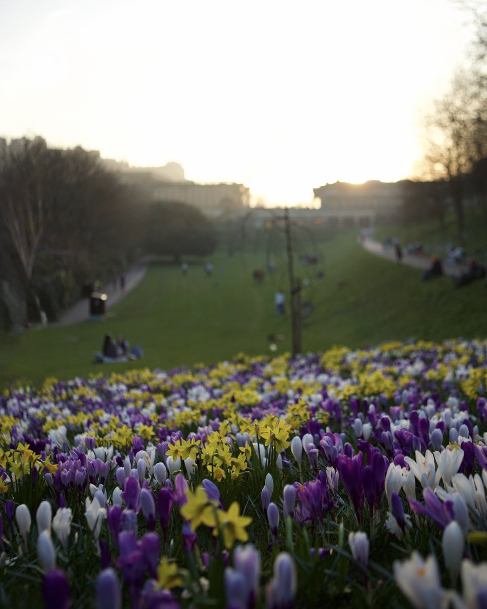 Edinburgh tweet media