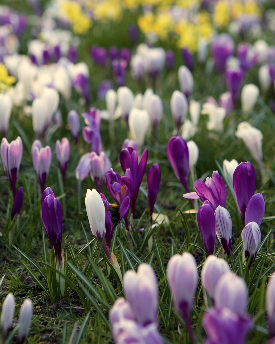 Edinburgh tweet media