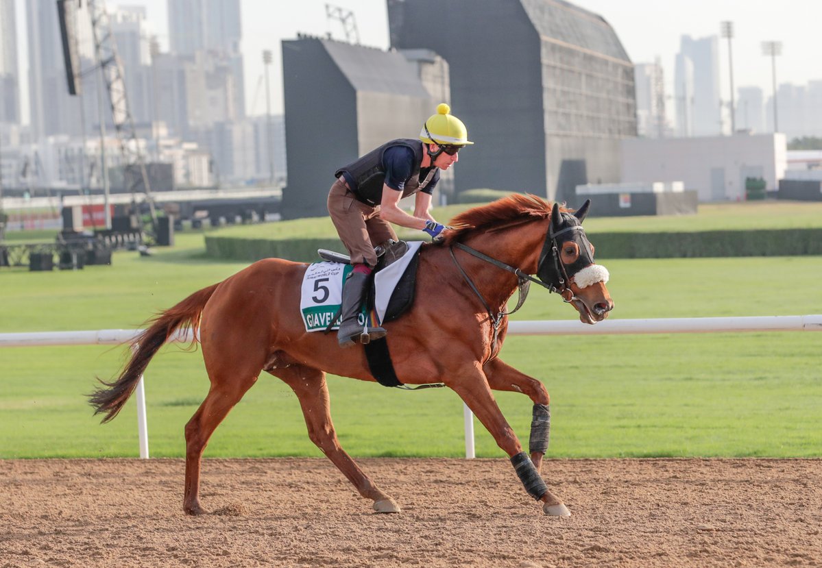 Dubai Racing Club tweet media