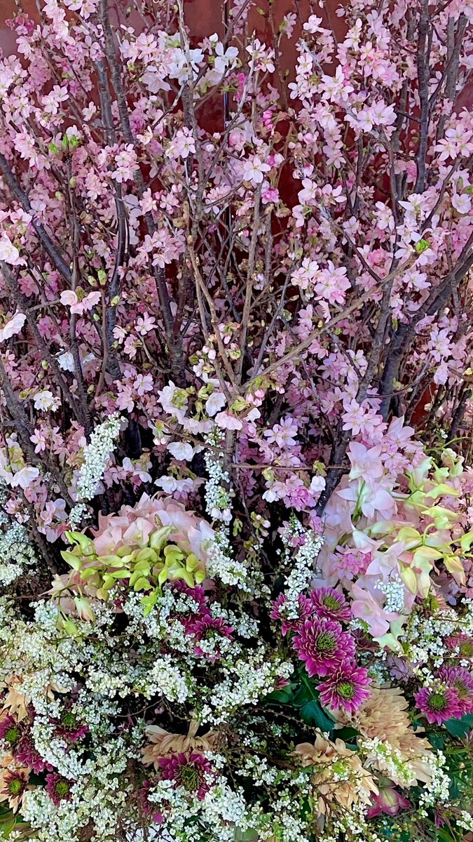 S_pppsP's tweet photo. 新しいネイルかわいい〜🌸
お抹茶と桜のきんとんとても美味しかった…！ https://t.co/IA1M5poOqJ