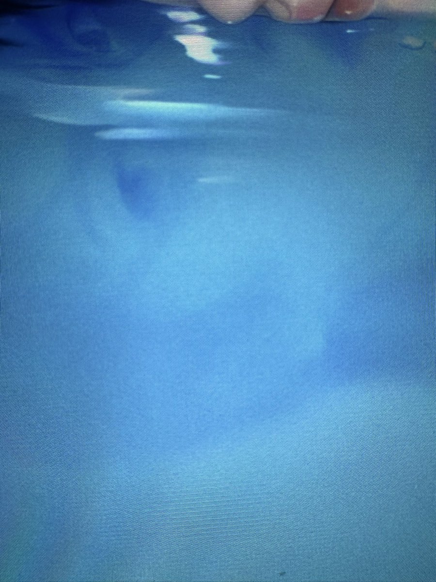 beettwhy tweet media