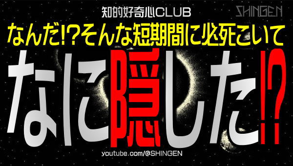 SHINGEN【公式】 tweet media