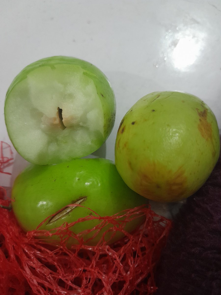 Princesharmapks's tweet photo. @letsblinkit Very disappointing experience with @letsblinkit. I received rotten pears, tomatoes, and stale dhaniya, and Raw Pressery Crazy Cola was missing from my order. I shared  everything via email, but no resolution was provided. Is this the service promised? https://t.co/FK8dbzNmZK