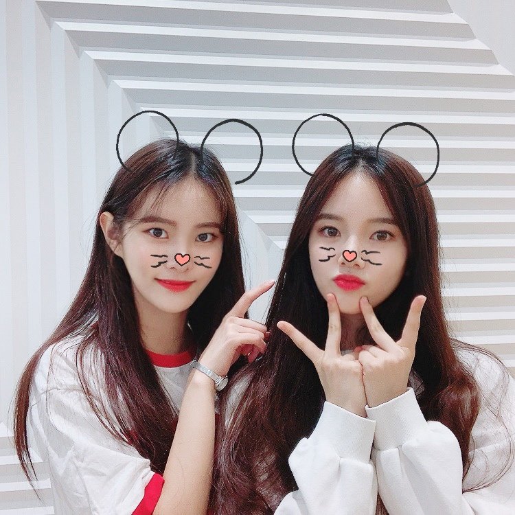 𝙿𝕚xar ♡ ! tweet media