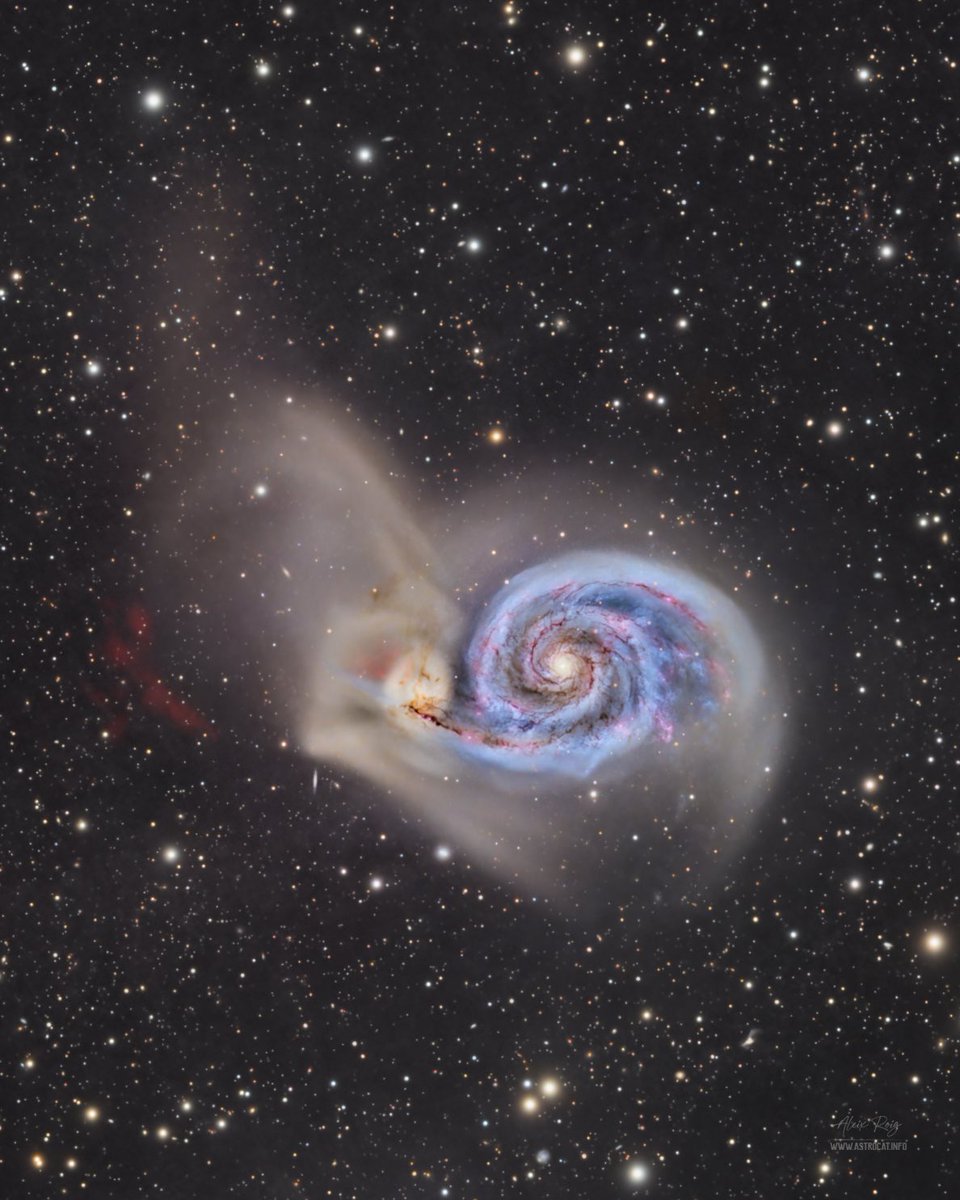astrocatinfo's tweet photo. 𝗧𝗵𝗲 𝗪𝗵𝗶𝗿𝗹𝗽𝗼𝗼𝗹 𝗚𝗮𝗹𝗮𝘅𝘆, 𝗱𝗲𝗲𝗽 𝘃𝗶𝗲𝘄 +𝟭𝟭𝟵𝗵: 𝗛𝗮 𝗳𝗮𝗶𝗻𝘁 𝗱𝗲𝘁𝗮𝗶𝗹𝘀 &amp; 𝗜𝗙𝗡 https://t.co/jVnaJYLfoj