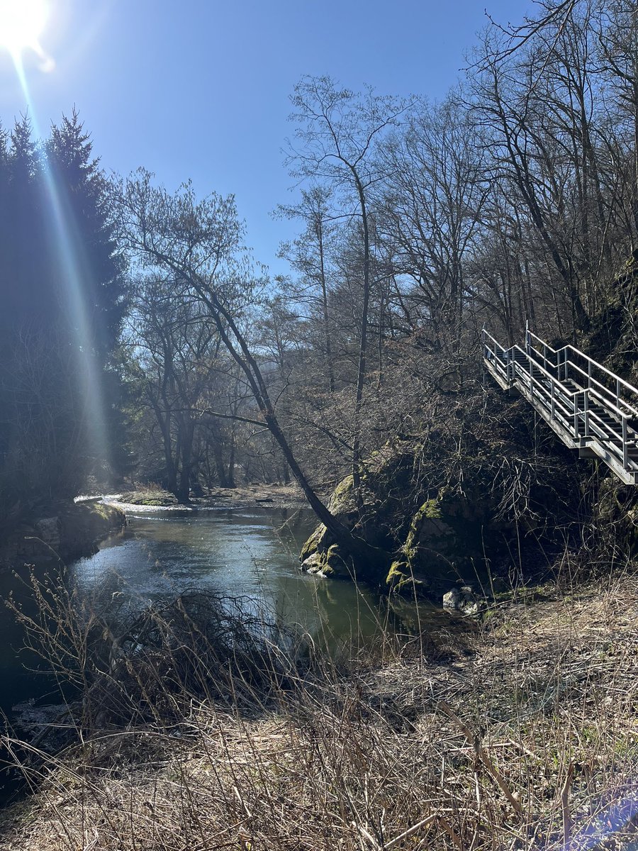 Eva Foltýnová tweet media