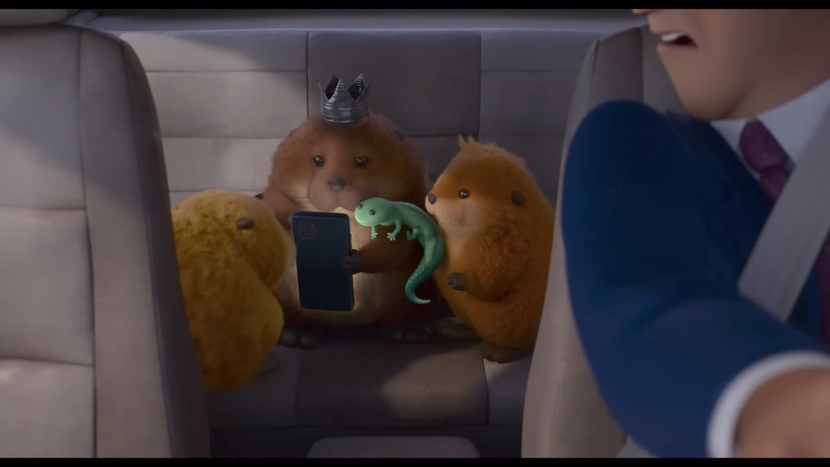 黒柴の映画館🎬 tweet media