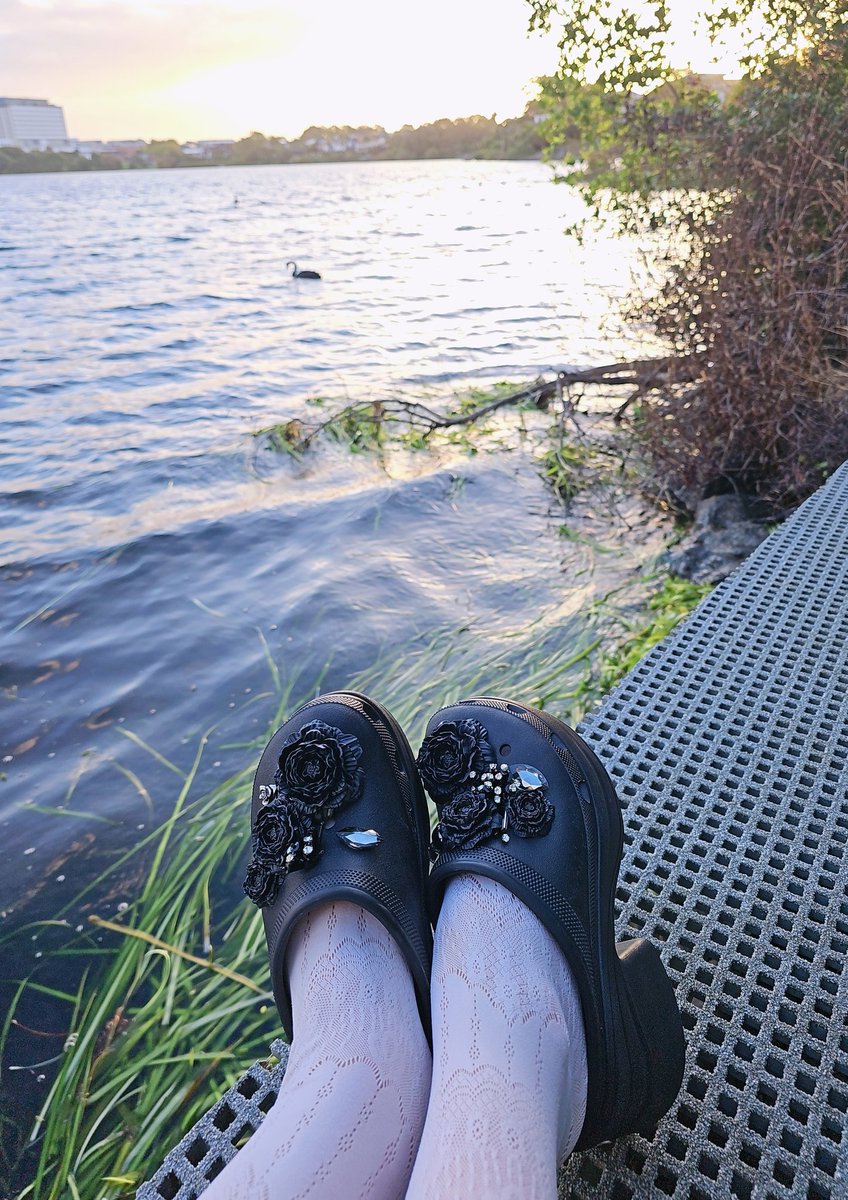 Miri✨️ tweet media