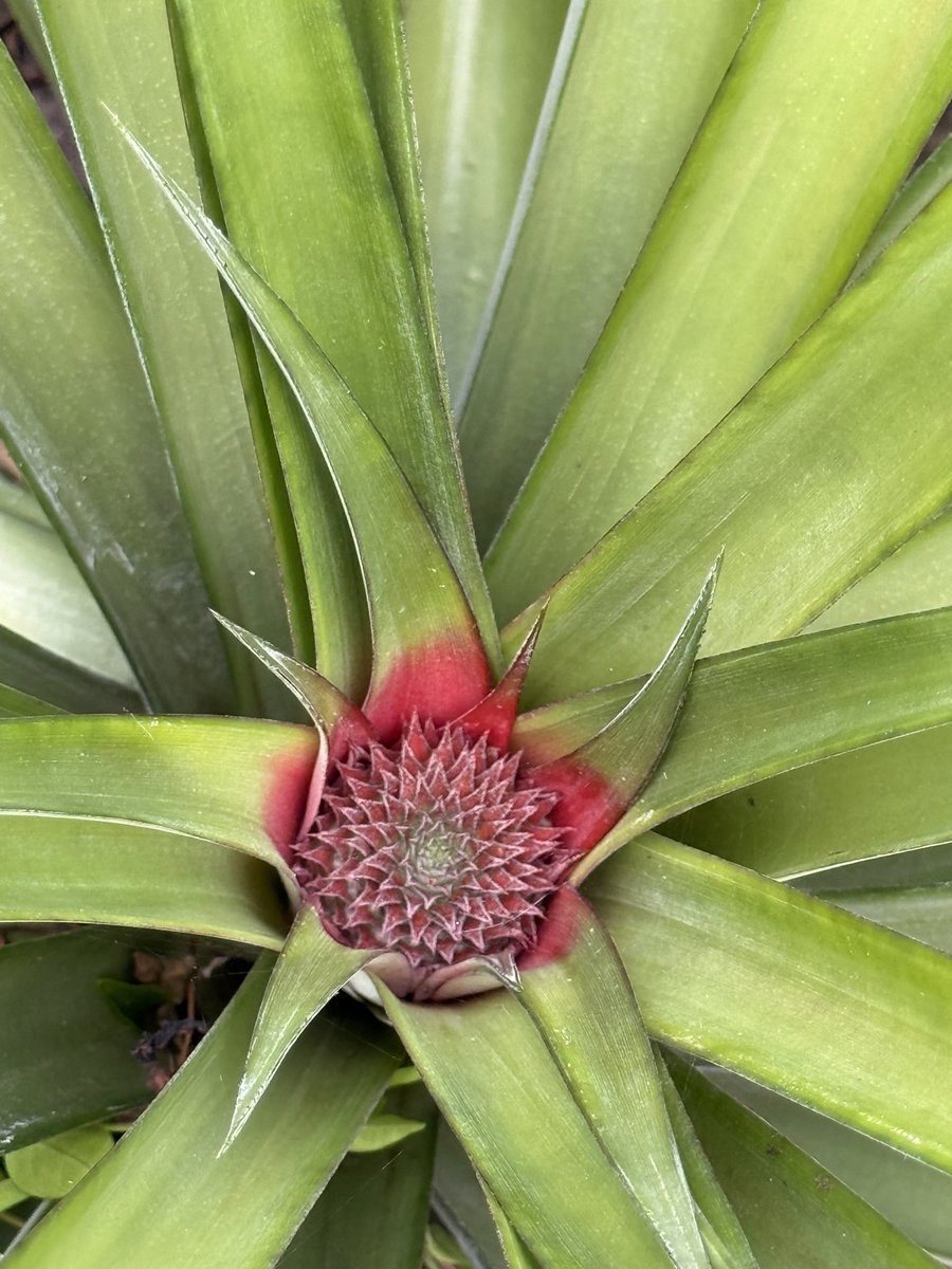 เพื่อนทิพย์ tweet media