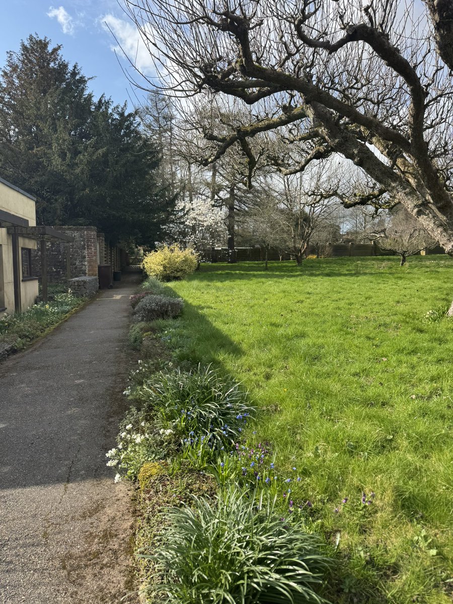 music@malling tweet media