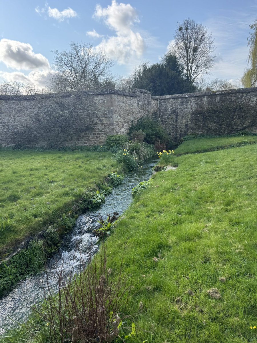 music@malling tweet media